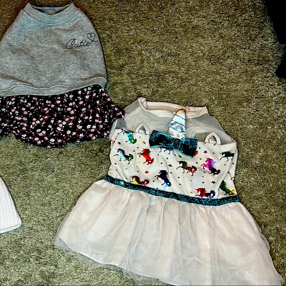 Top Paw Sweater Dresses🐶